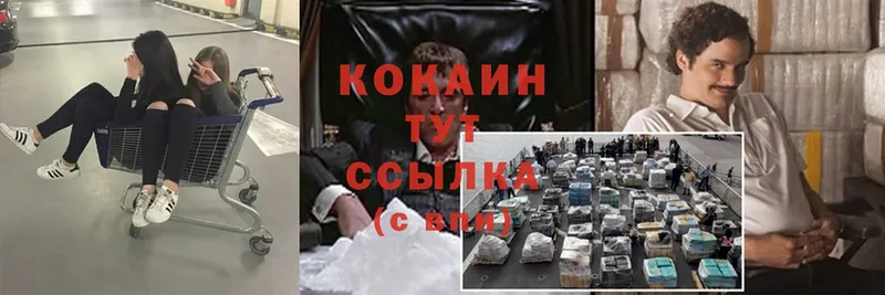 Cocaine Fish Scale  mega маркетплейс  Кондопога 