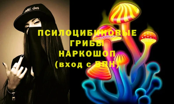 mdma Новодвинск