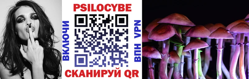 Псилоцибиновые грибы прущие грибы  Кондопога 