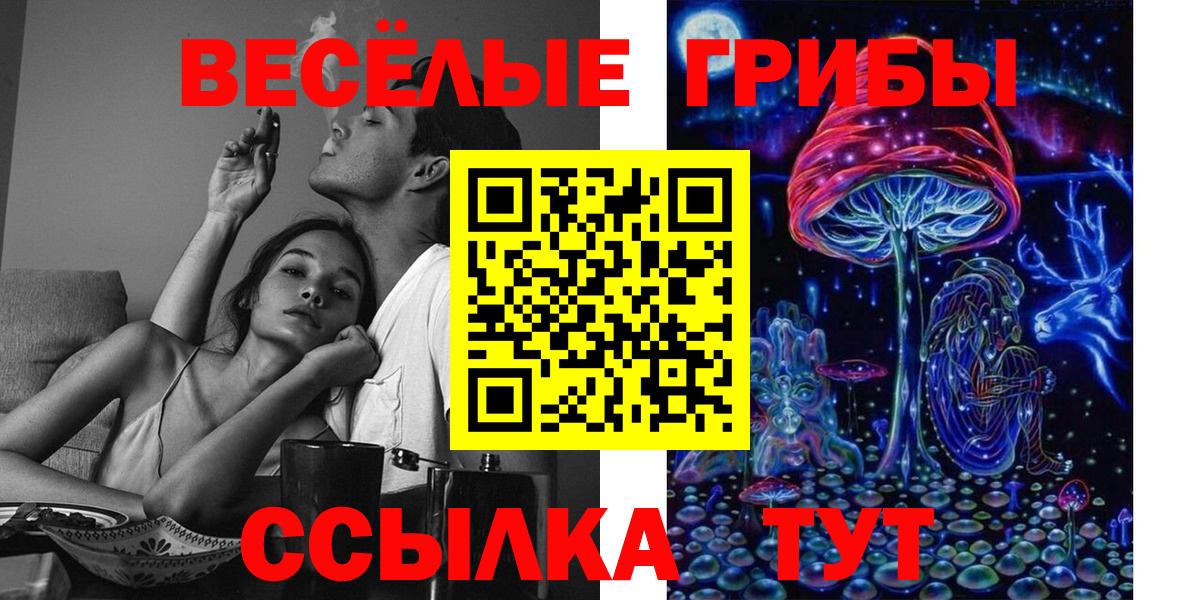 Галлюциногенные грибы мицелий Кондопога