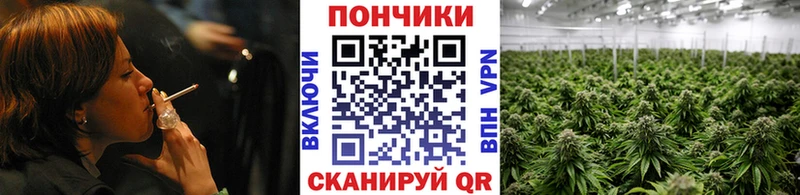 Шишки марихуана LSD WEED  Кондопога 